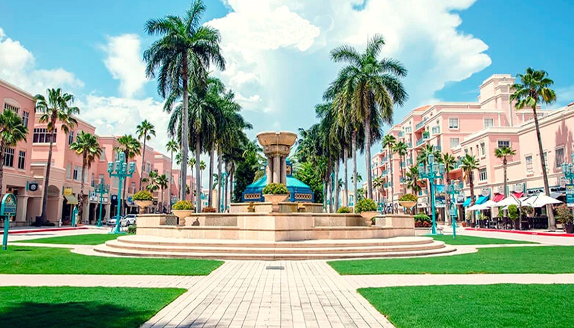 Fountain surrounded by palm trees and buildings.